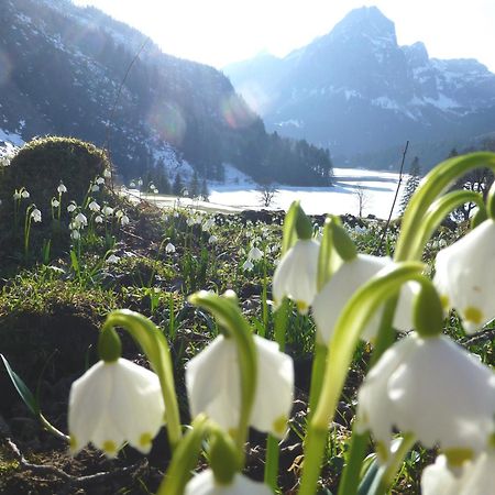Berghotel Obersee 奈福尔斯 外观 照片