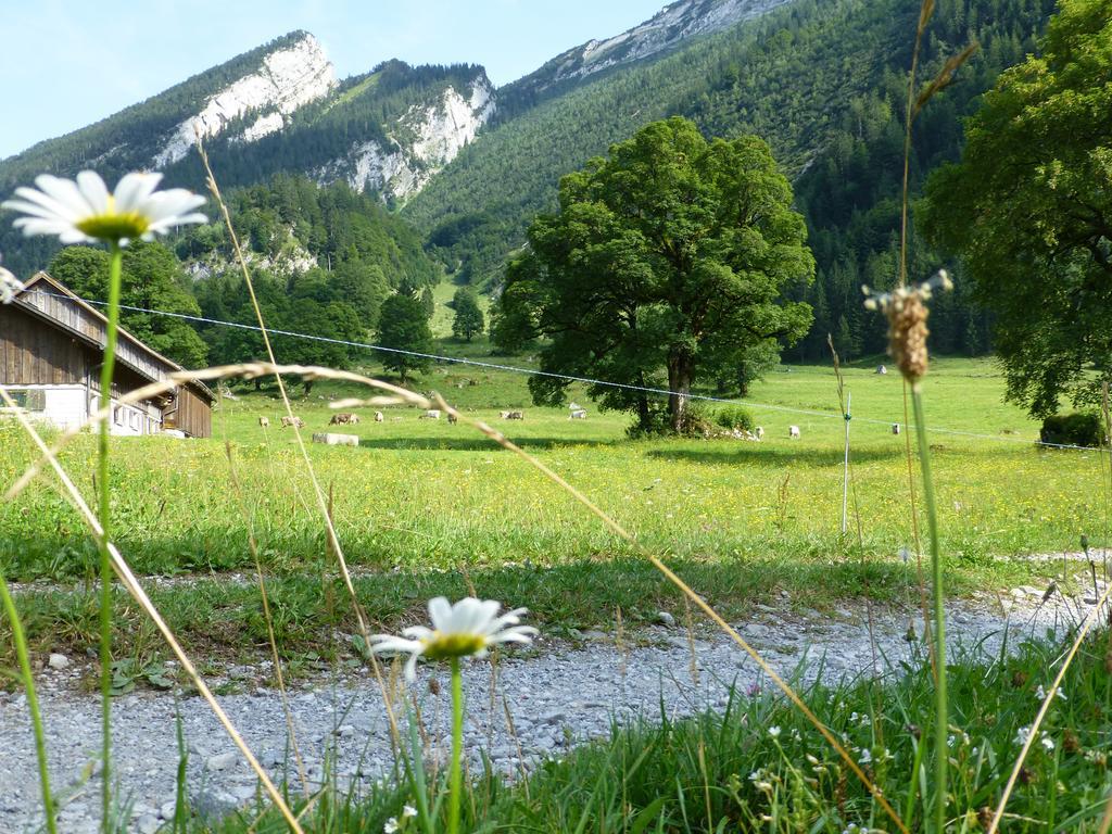 Berghotel Obersee 奈福尔斯 外观 照片
