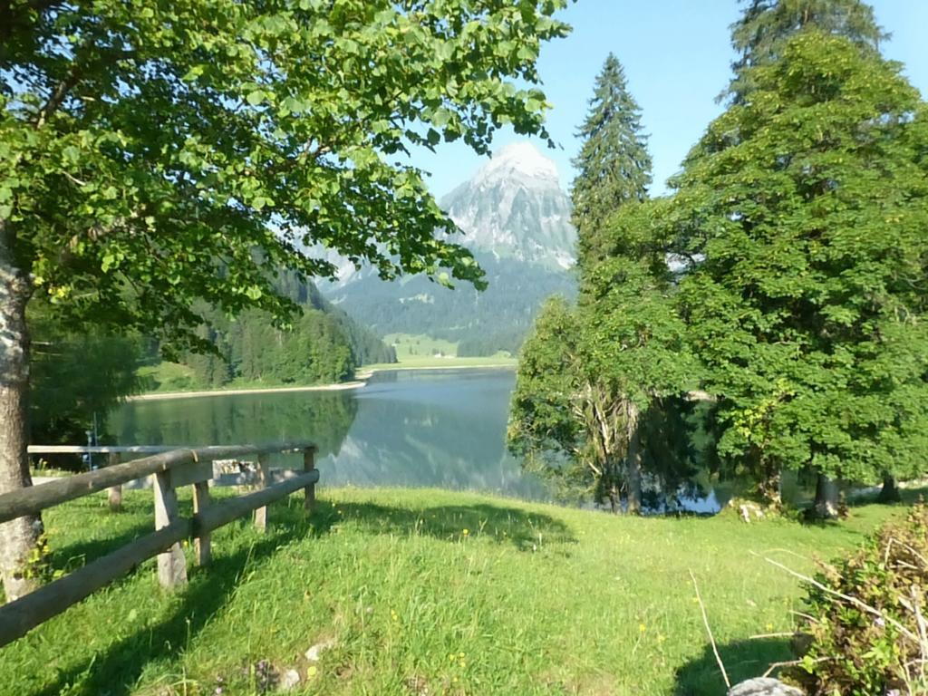 Berghotel Obersee 奈福尔斯 外观 照片
