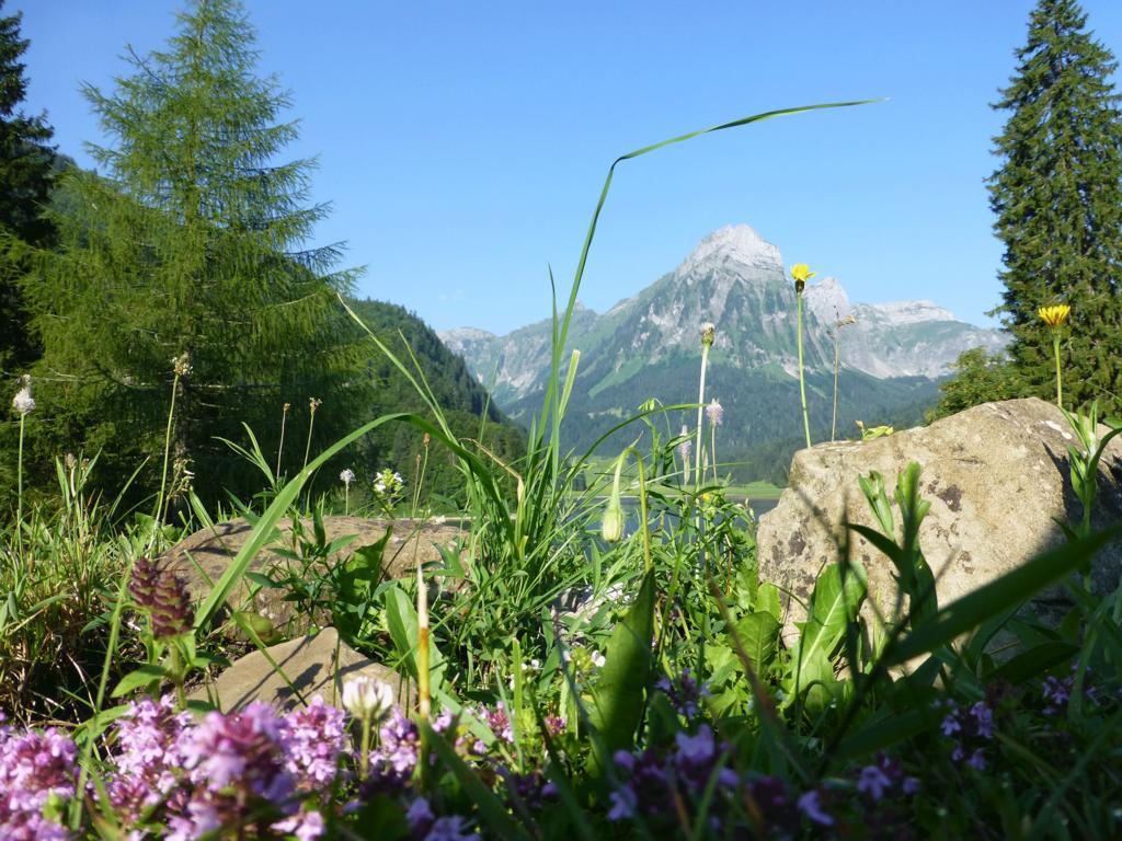 Berghotel Obersee 奈福尔斯 外观 照片