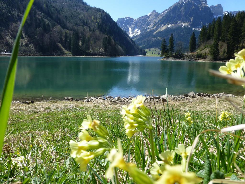 Berghotel Obersee 奈福尔斯 外观 照片