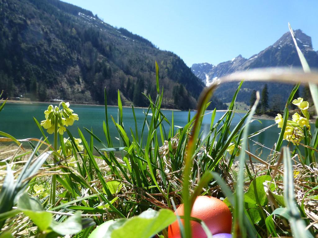 Berghotel Obersee 奈福尔斯 外观 照片