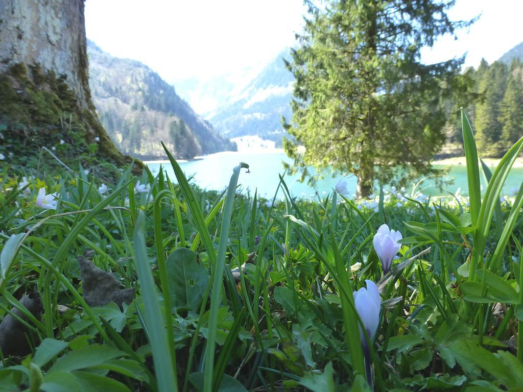 Berghotel Obersee 奈福尔斯 外观 照片