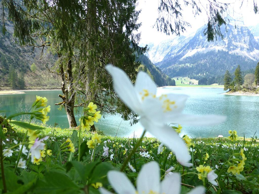 Berghotel Obersee 奈福尔斯 外观 照片