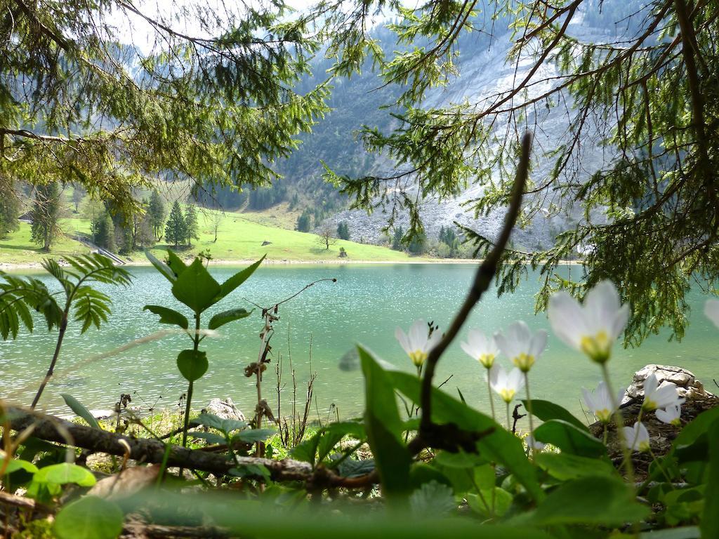 Berghotel Obersee 奈福尔斯 外观 照片