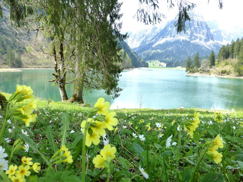 Berghotel Obersee 奈福尔斯 外观 照片