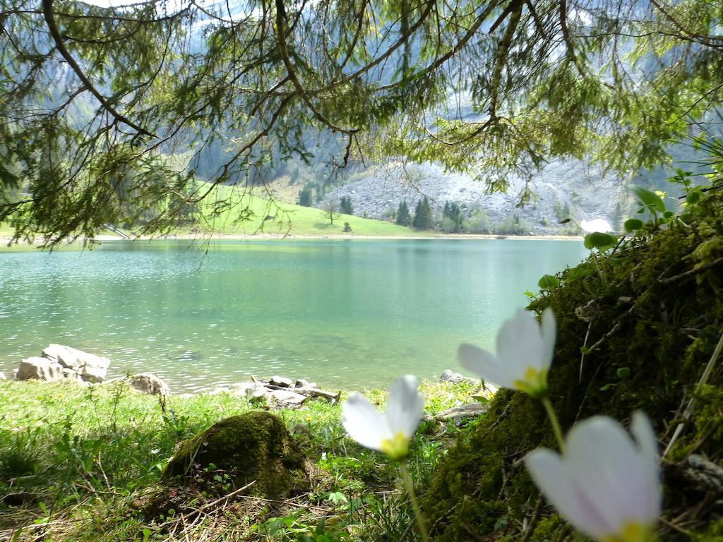 Berghotel Obersee 奈福尔斯 外观 照片