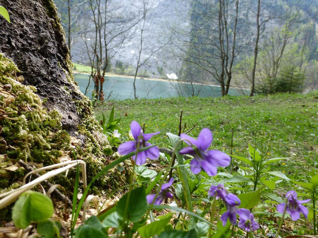 Berghotel Obersee 奈福尔斯 外观 照片