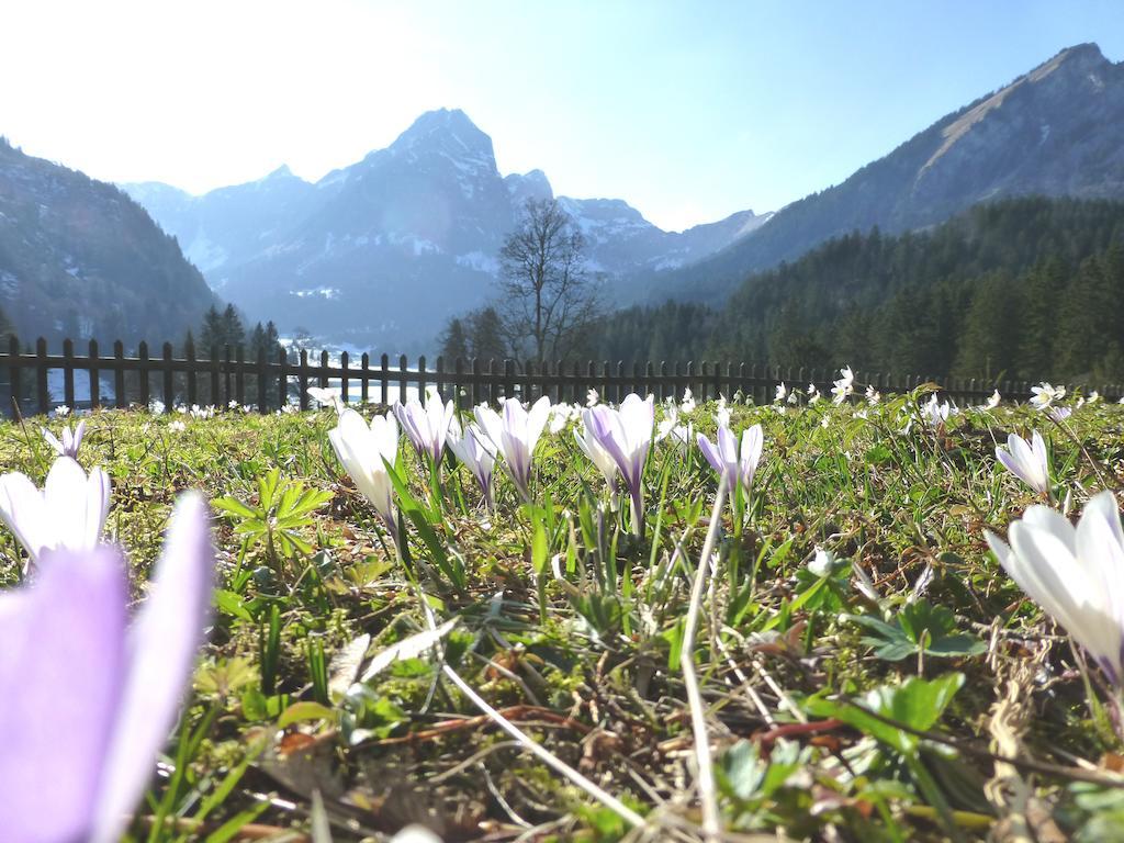 Berghotel Obersee 奈福尔斯 外观 照片