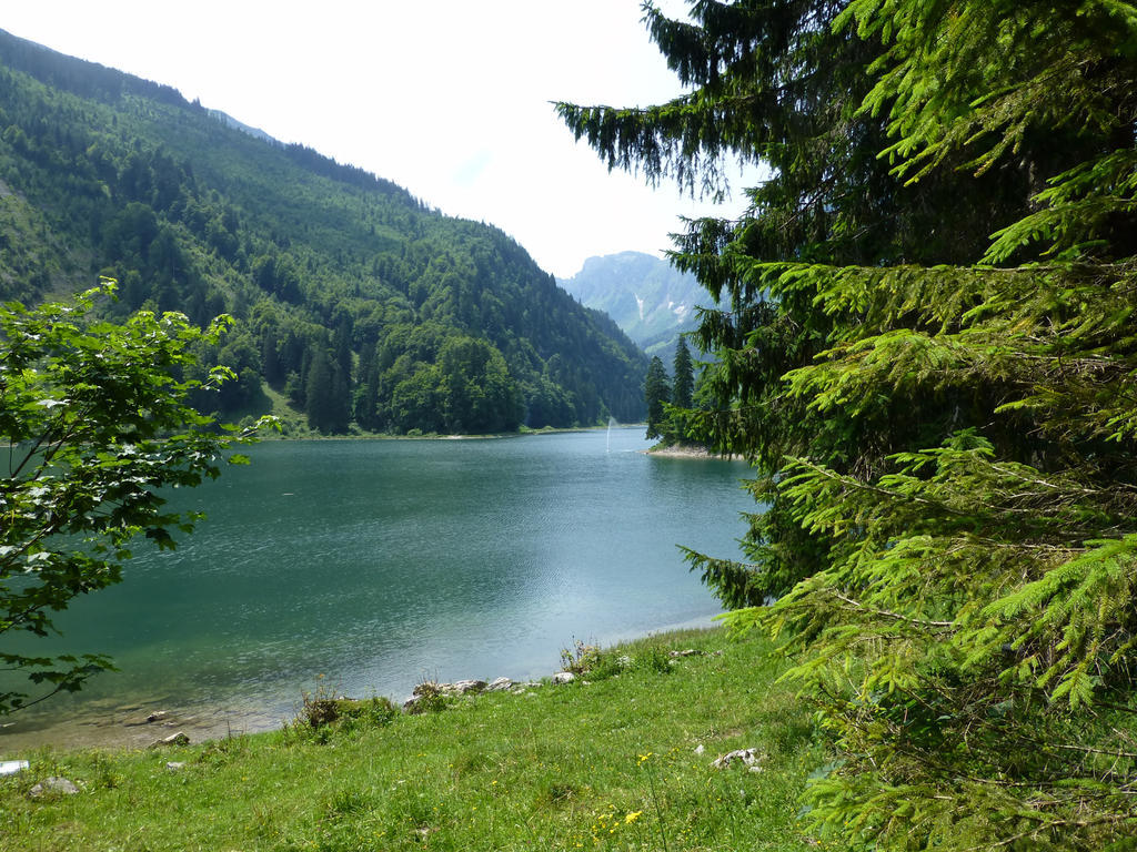 Berghotel Obersee 奈福尔斯 外观 照片