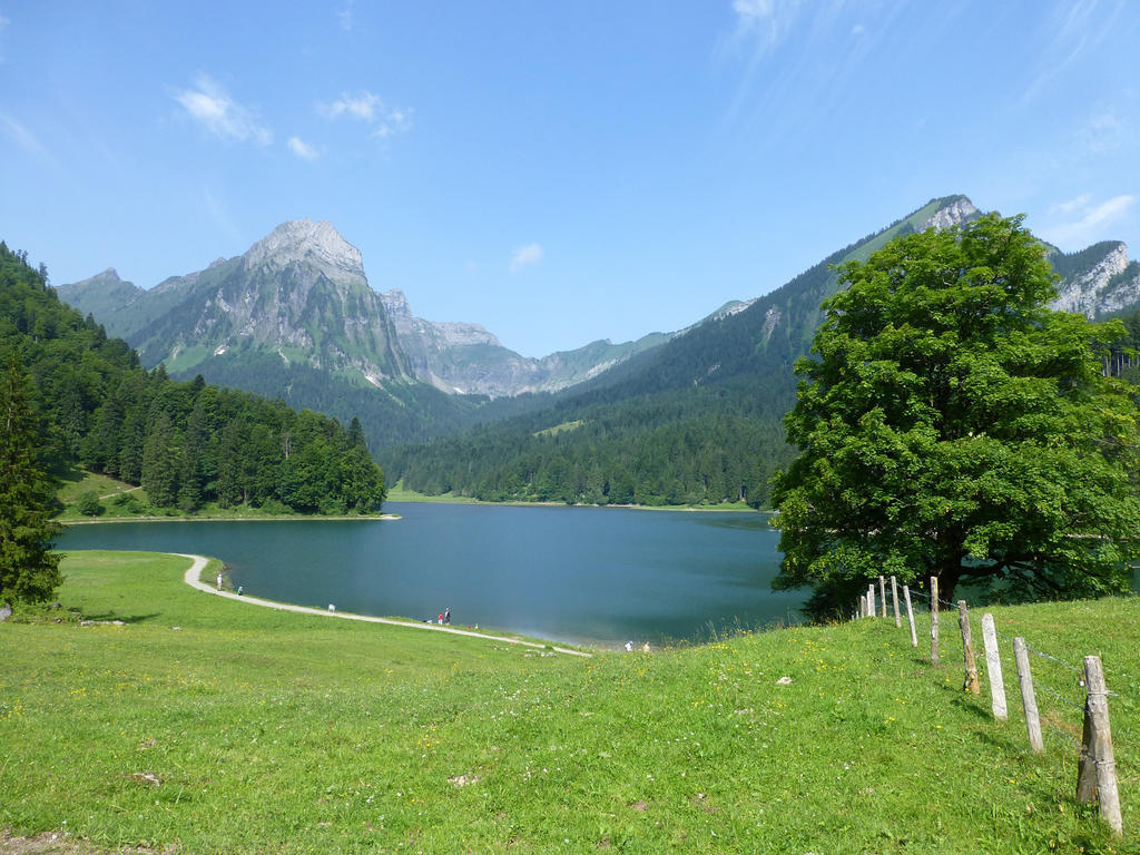 Berghotel Obersee 奈福尔斯 外观 照片