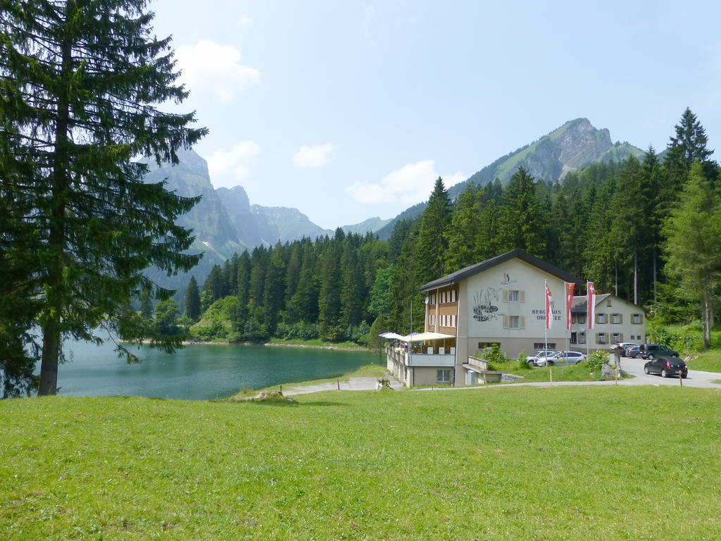 Berghotel Obersee 奈福尔斯 外观 照片