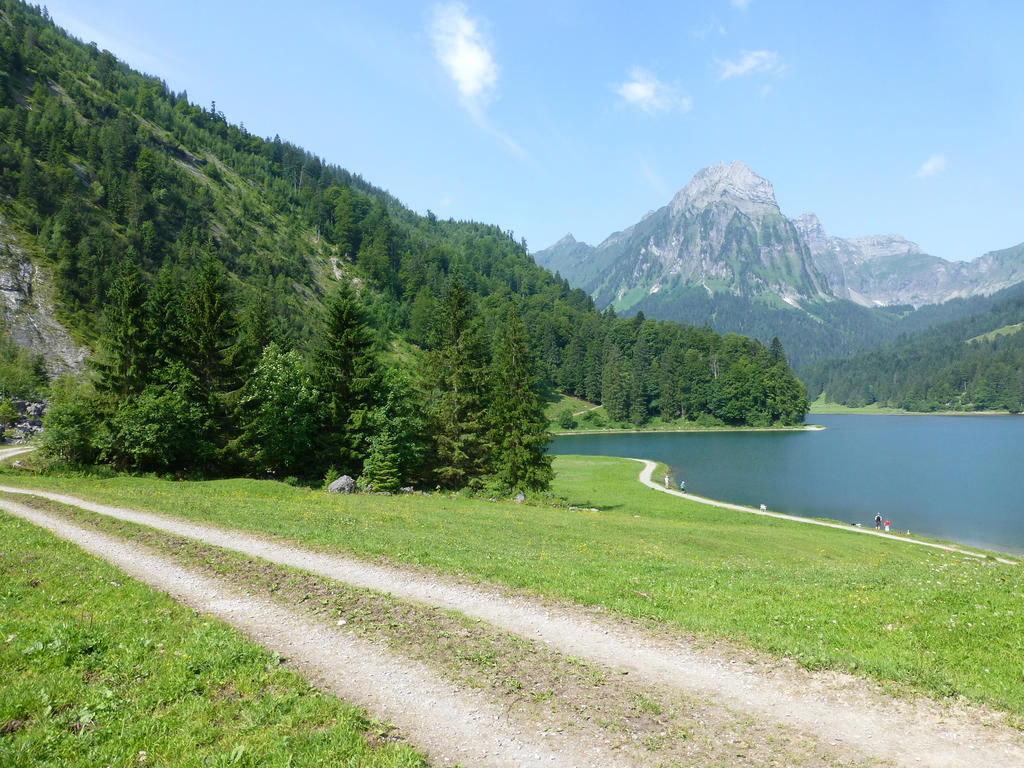 Berghotel Obersee 奈福尔斯 外观 照片