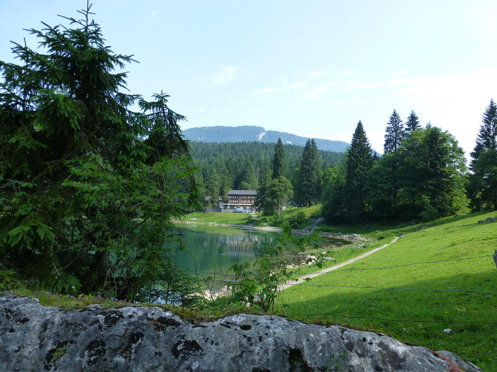 Berghotel Obersee 奈福尔斯 外观 照片