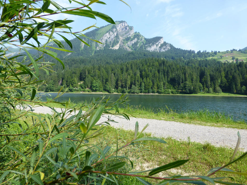 Berghotel Obersee 奈福尔斯 外观 照片