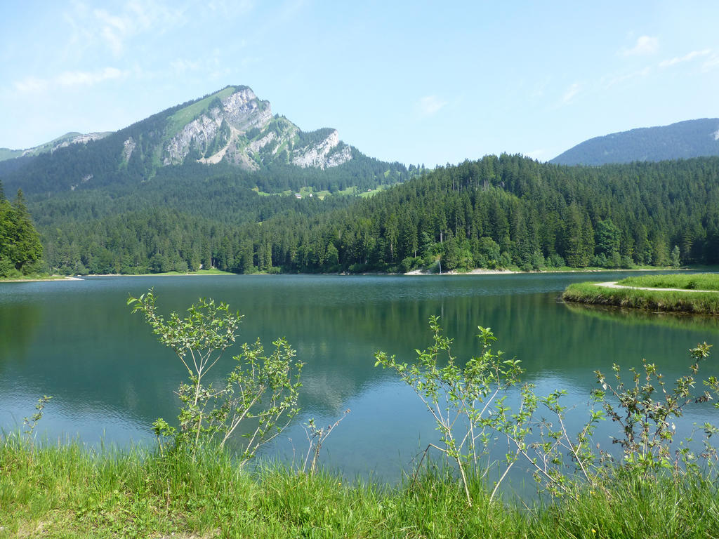Berghotel Obersee 奈福尔斯 外观 照片