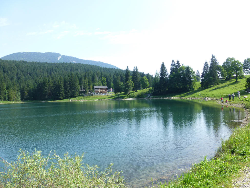 Berghotel Obersee 奈福尔斯 外观 照片