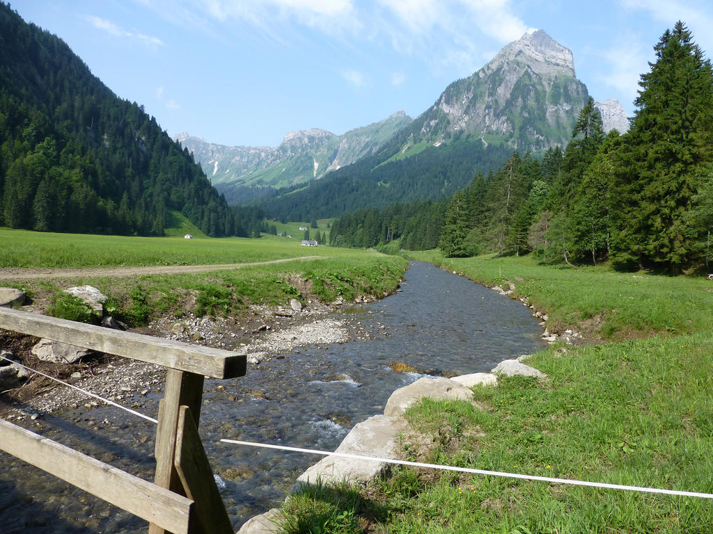 Berghotel Obersee 奈福尔斯 外观 照片