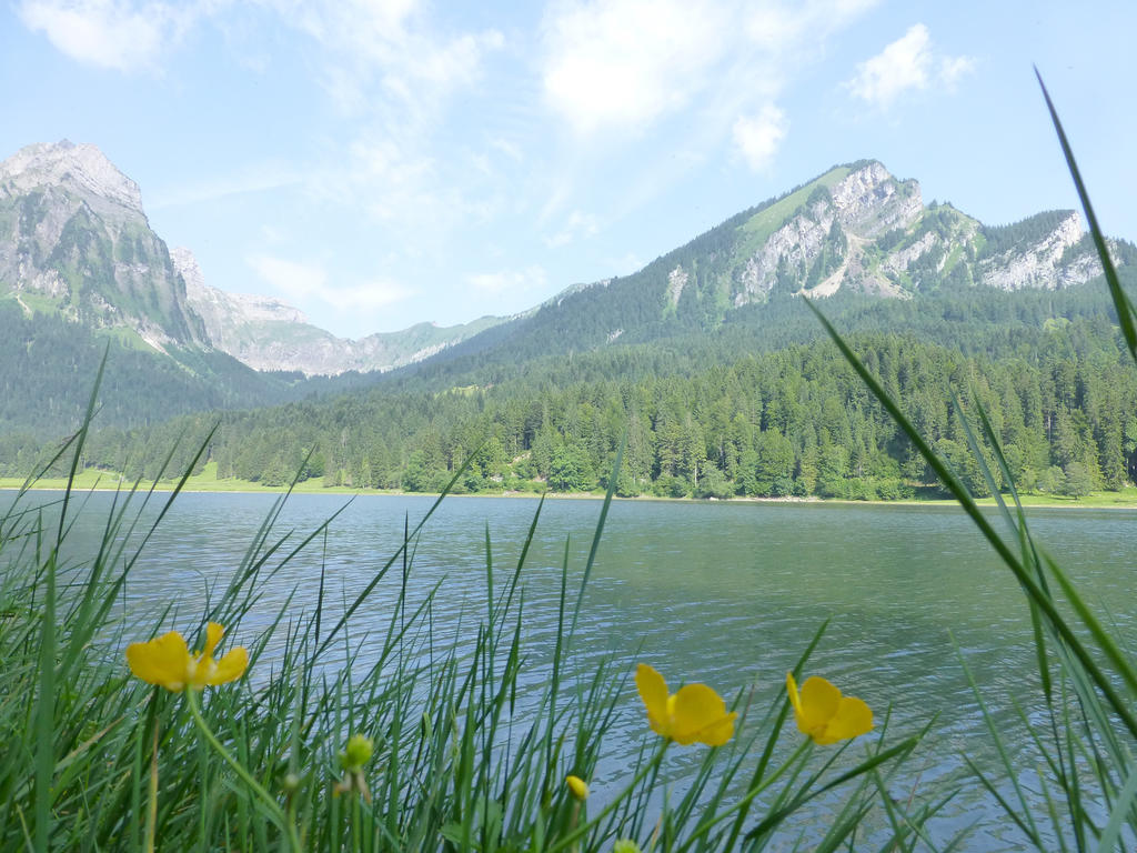 Berghotel Obersee 奈福尔斯 外观 照片