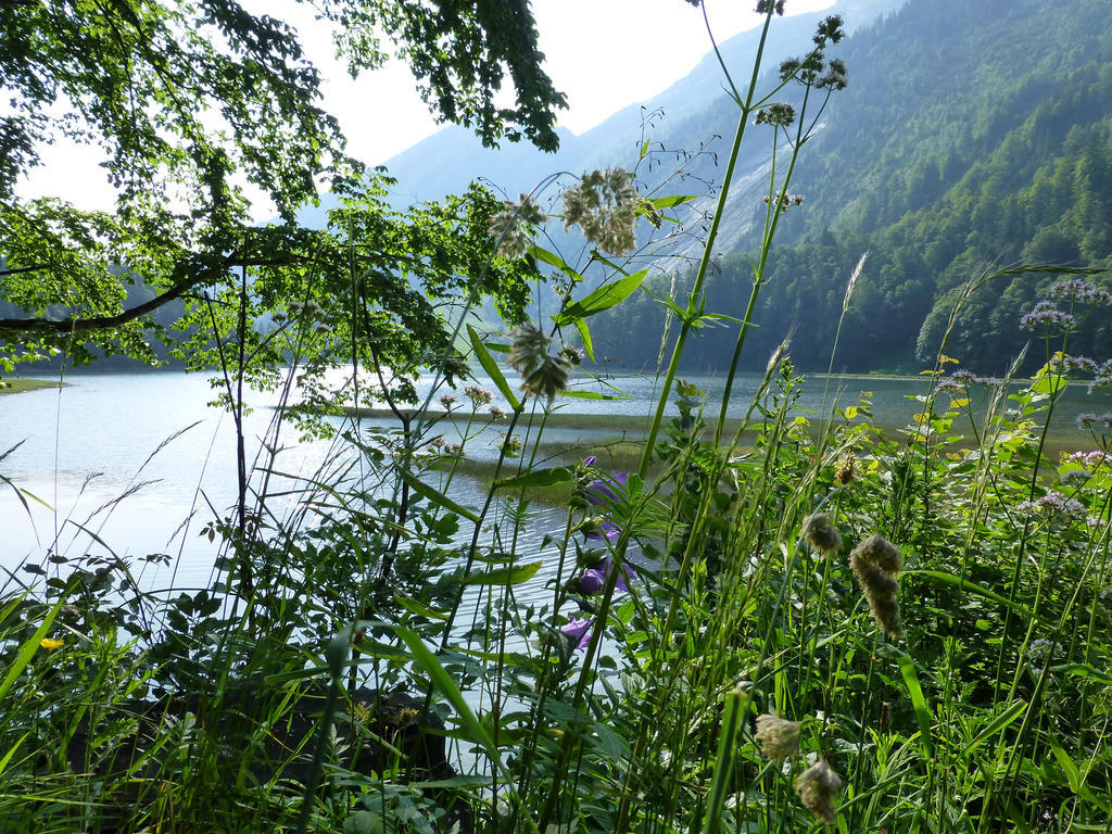 Berghotel Obersee 奈福尔斯 外观 照片