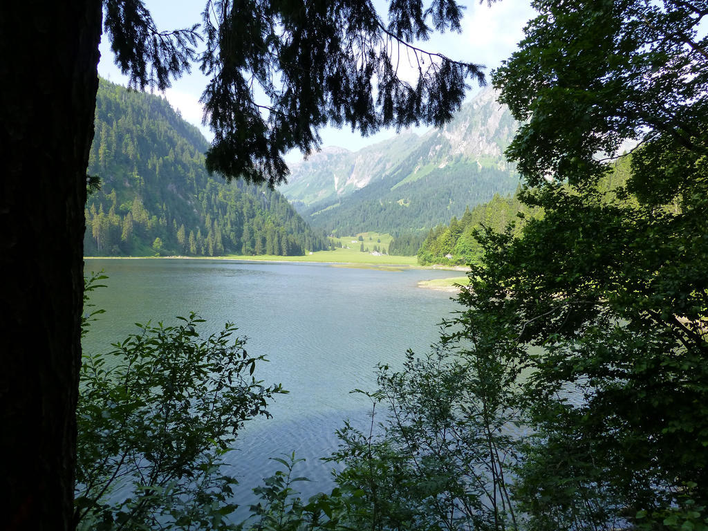 Berghotel Obersee 奈福尔斯 外观 照片