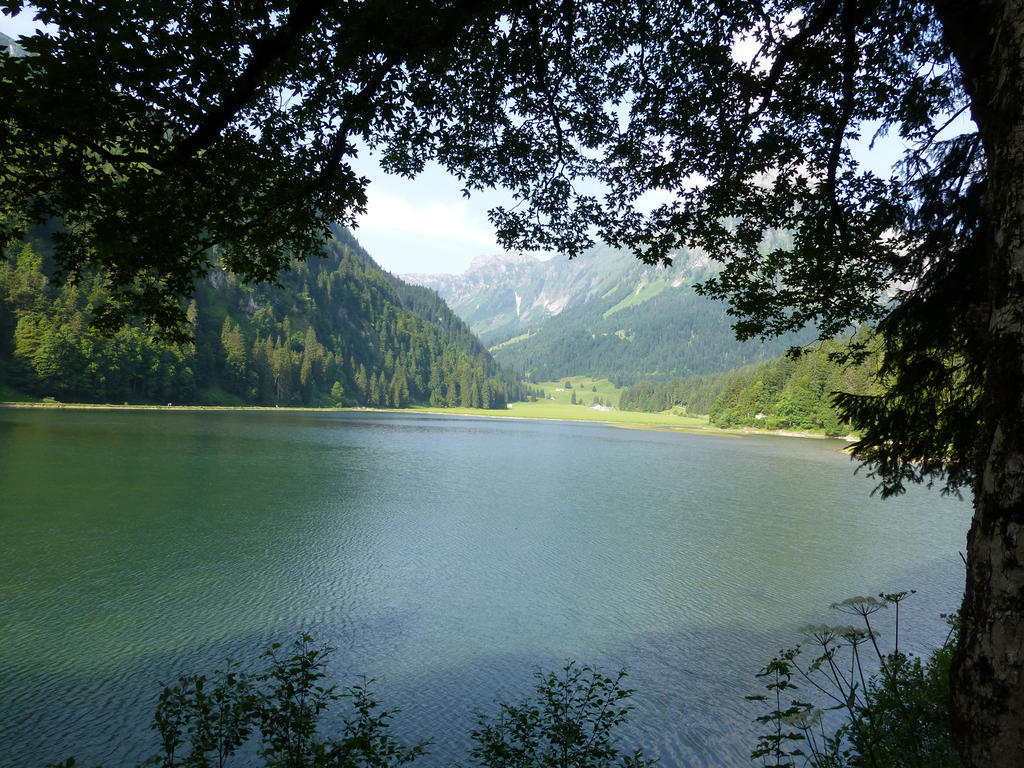 Berghotel Obersee 奈福尔斯 外观 照片
