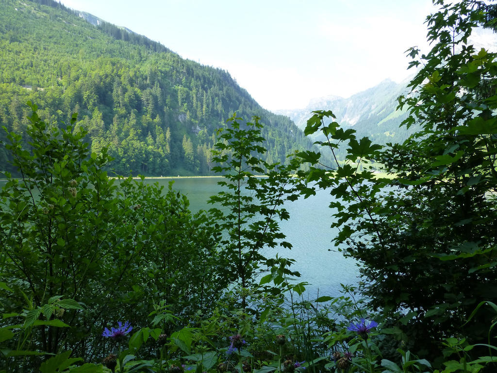 Berghotel Obersee 奈福尔斯 外观 照片