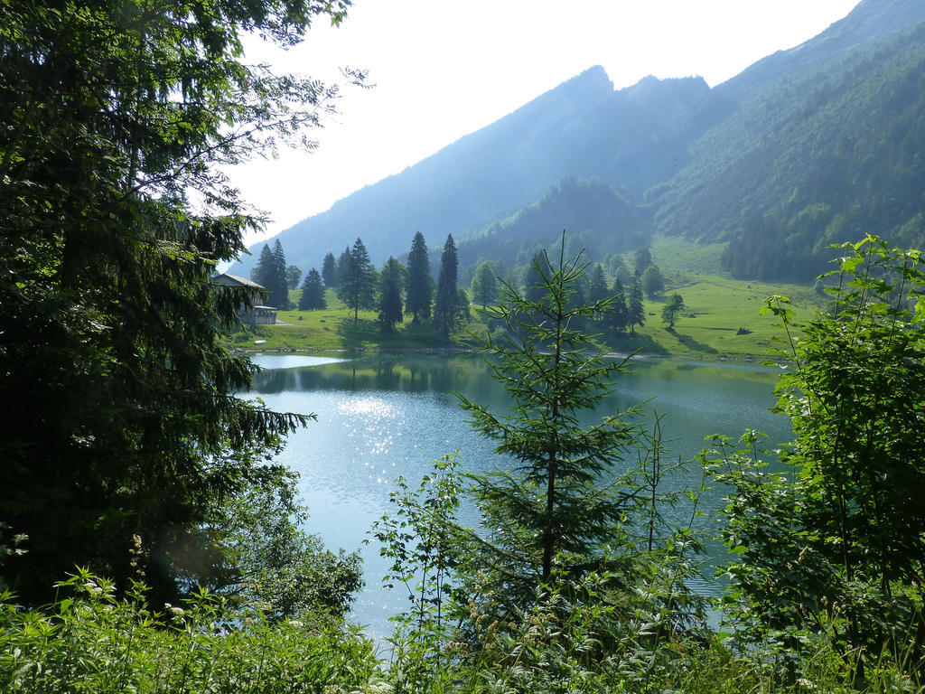 Berghotel Obersee 奈福尔斯 外观 照片