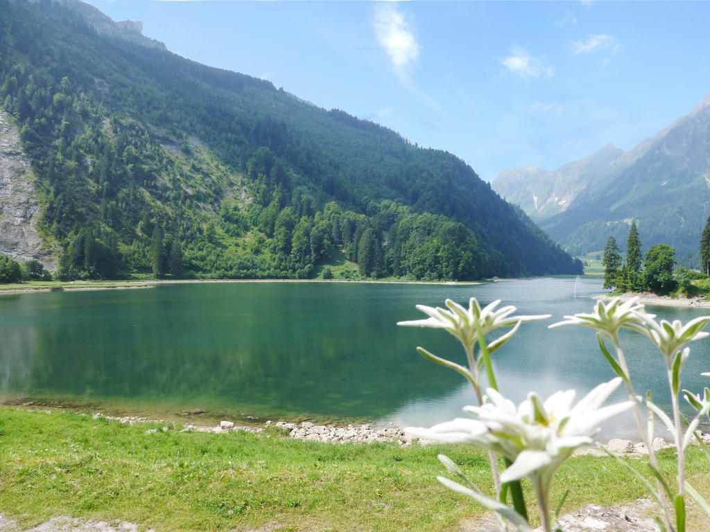 Berghotel Obersee 奈福尔斯 外观 照片