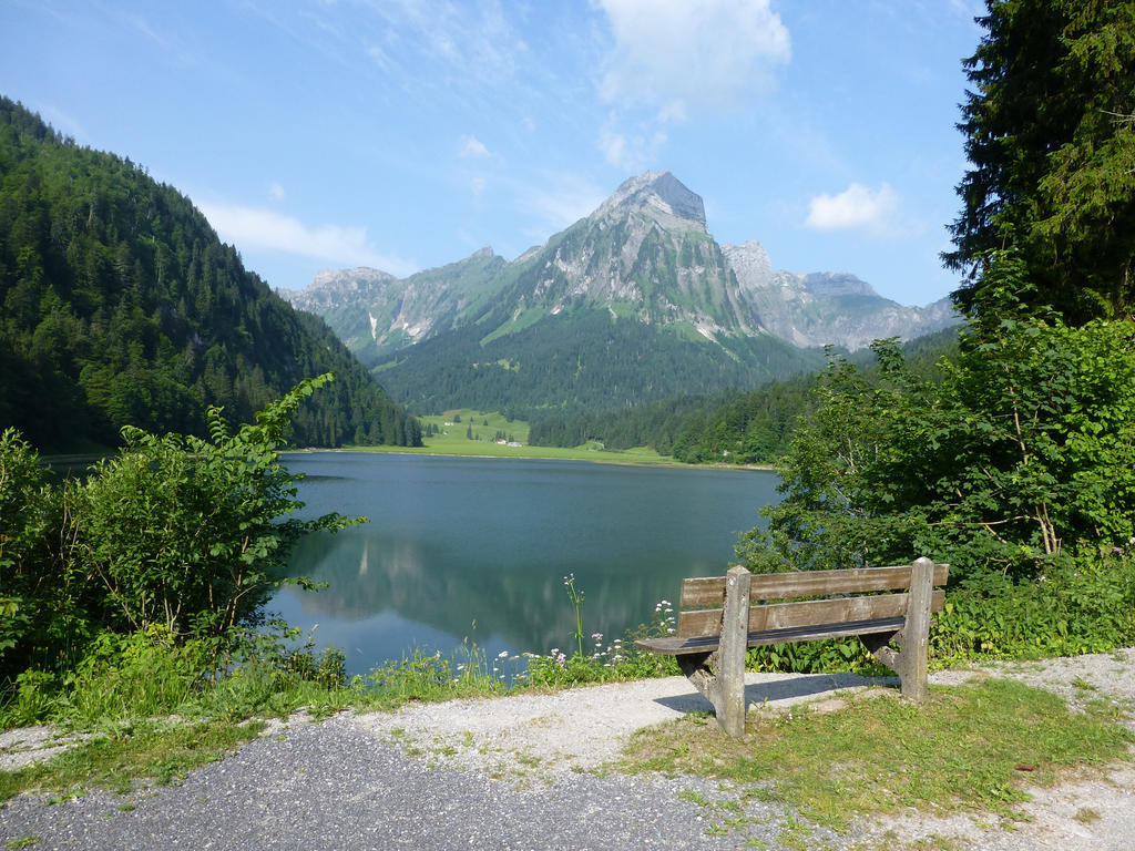 Berghotel Obersee 奈福尔斯 外观 照片